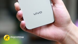 Splm1639010510371596078