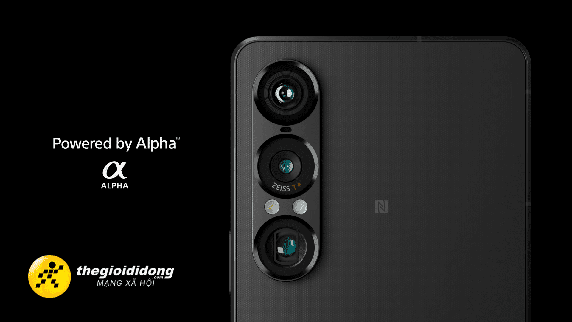 Szx1639004594398446482