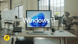 Wd11638996870643191325