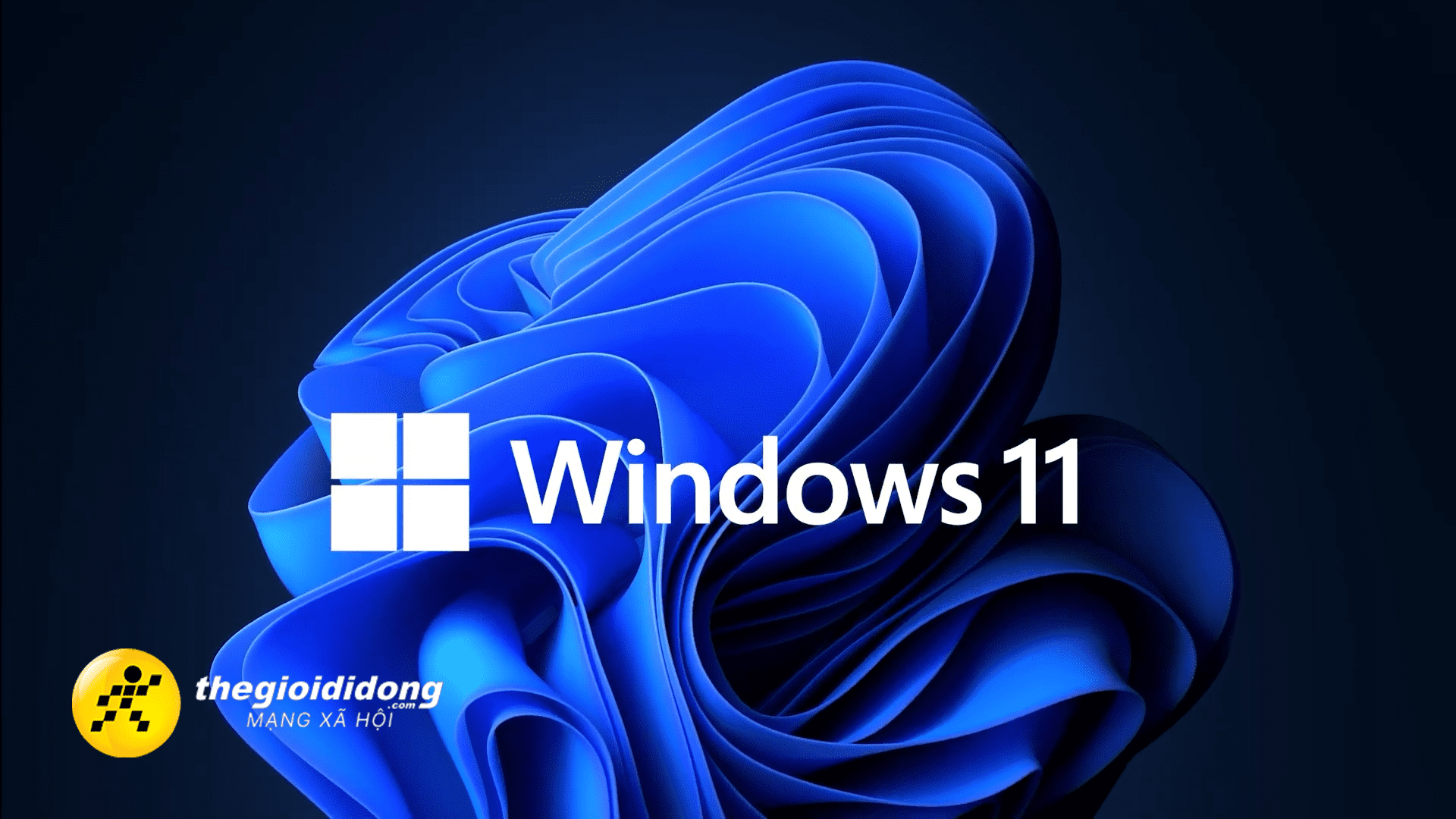 Wis111639008647453642389