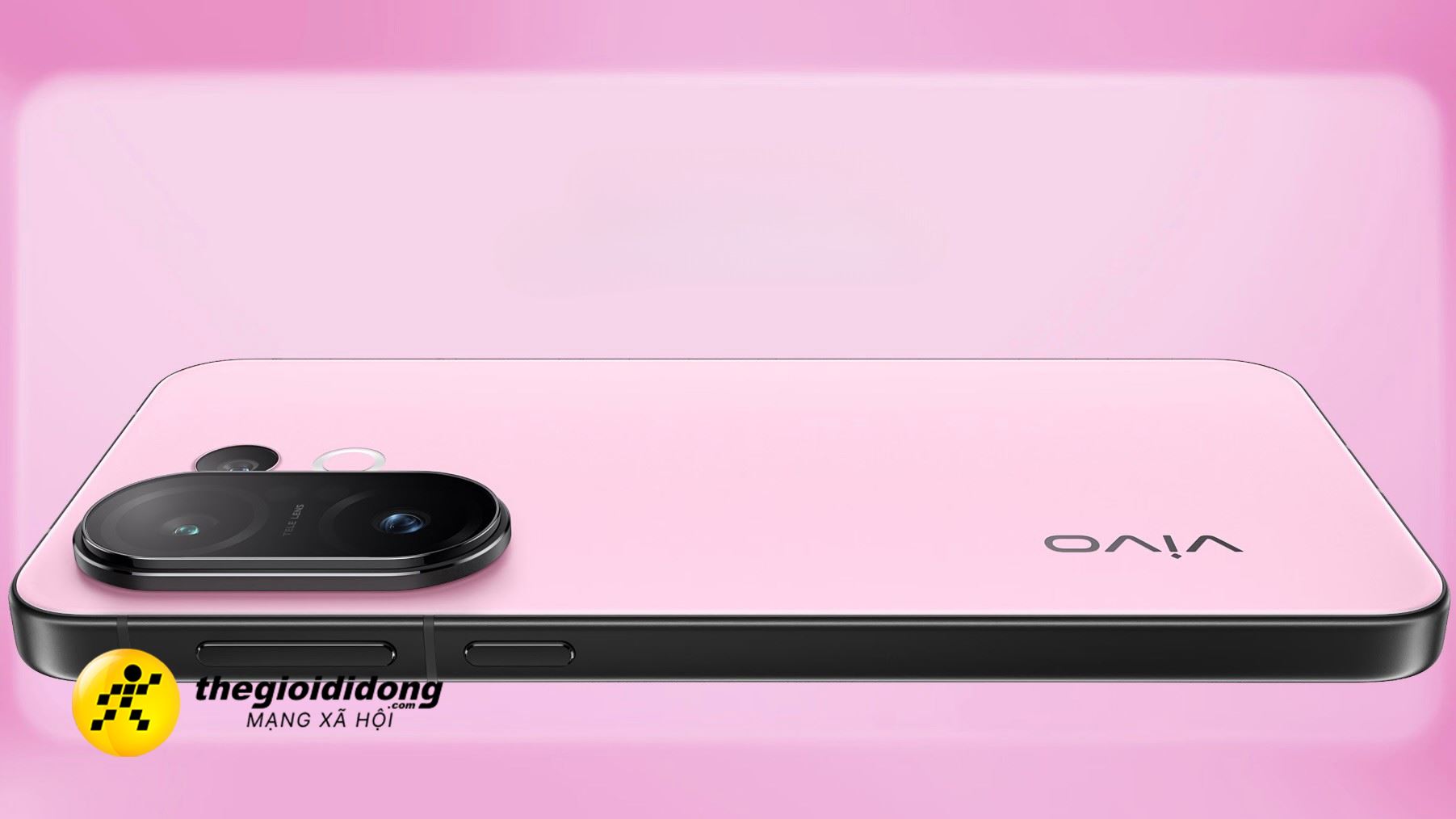 Xv52638992531504707681