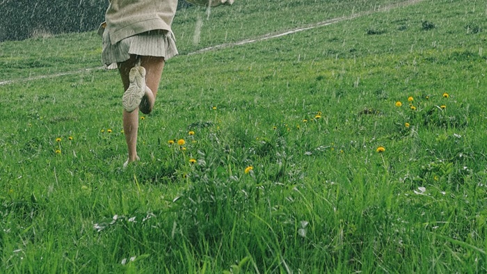 Aa35F424Cedd13D87E7Fc32D8Ef7D1Fb Pexels Photo 8676396