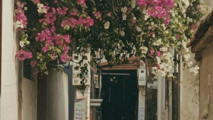 Ad45Ae6A24009Cfcfb9177258E30A90A 35