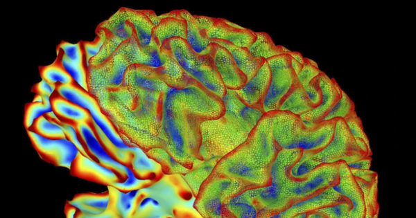 Anh 1 11 08094238 1762656410191 17626564104791253652339 24 0 401 720 Crop 1762656452040798385157