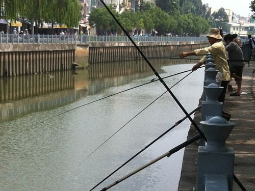 anh cau ca