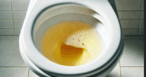 Anh Chup Man Hinh 2025 06 07 Luc 072145 1749255765922635462112 28 0 892 1382 Crop 176253662255311005