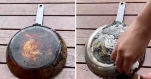 Avatar1641340713387 1641340714334224712926