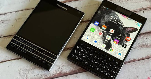 Avatar1761823786726 1761823786978608319630 0 32 415 696 Crop 1761823850269322030462