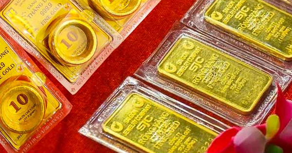 Avatar1762222399500 1762222399976567902036