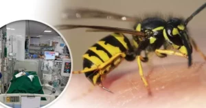 Avatar1762223836427 176222383679431009749.Webp