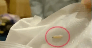 Avatar1762234960322 17622349606911549410996