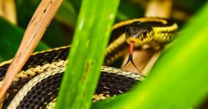 Avatar1762244269086 17622442694761644996981