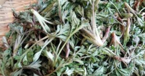 Avatar1762254978826 17622549794381765383952 0 0 314 600 Crop 17622682105641148079201