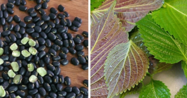 Avatar1762311220183 17623112204711489423538 0 95 268 524 Crop 1762311700416757306972