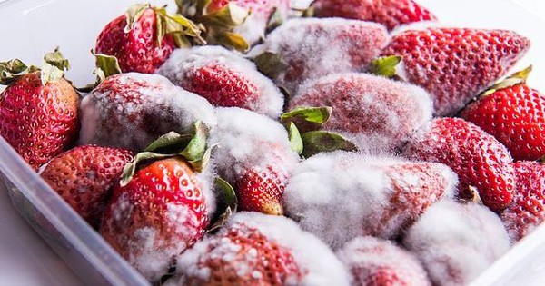 Avatar1762325620999 1762325621802376976726