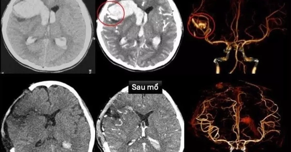 Avatar1762327051981 17623270528941081875397.Webp