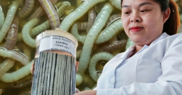 Avatar1762404445717 17624044461351542315080 0 55 276 496 Crop 17624044730462112030478