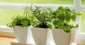 Avatar1762610668674 1762610669538951955042 0 0 603 1152 Crop 17626107328041752194835