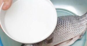 Avatar1762611296808 17626112971111277996665