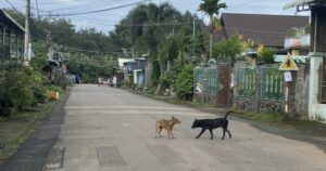 Avatar1762657595872 176265759637278138105