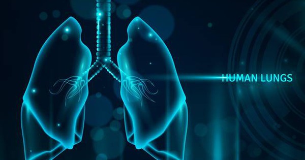 Avatar1762660198197 1762660198752544003462