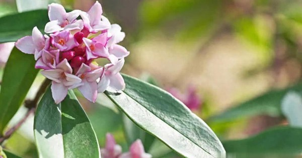 Avatar1762677272456 1762677272933285225039