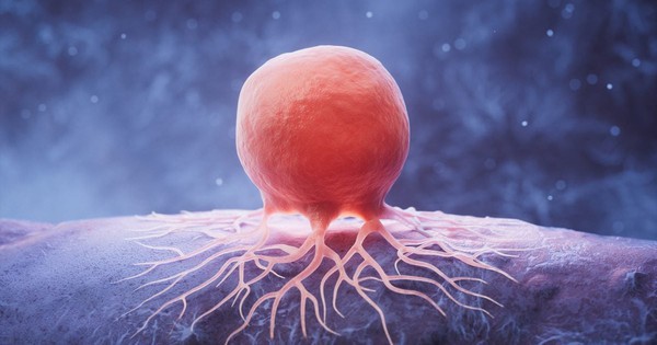 Avatar1762749588570 1762749588867130530041