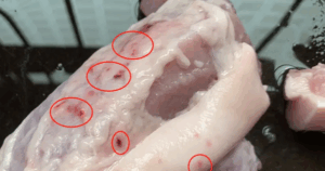 Avatar1762818380872 17628183811671999963659