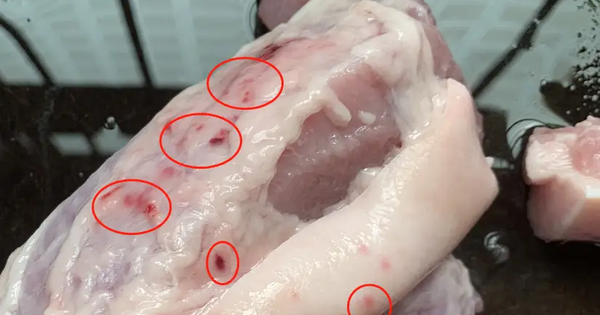 Avatar1762818380872 17628183811671999963659