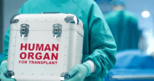 Avatar1762860487804 1762860488320875209523 0 42 276 483 Crop 1762860529636642644828