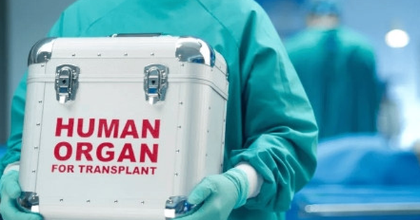 Avatar1762860487804 1762860488320875209523 0 42 276 483 Crop 1762860529636642644828