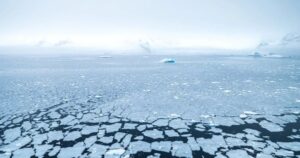 Avatar1762915681062 1762915681486458744490 39 0 510 900 Crop 17629157475201281993709