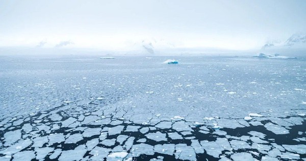 Avatar1762915681062 1762915681486458744490 39 0 510 900 Crop 17629157475201281993709