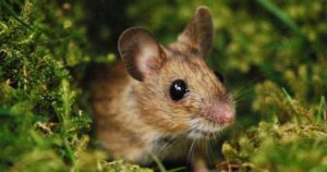 Avatar1762920172819 17629201771741616857986