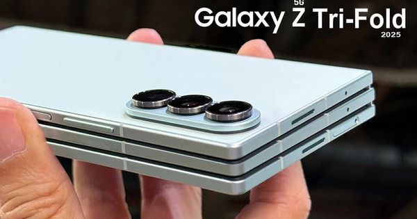 Avatar1763008109014 17630081094511551678191 0 77 563 978 Crop 17630081420591411575213