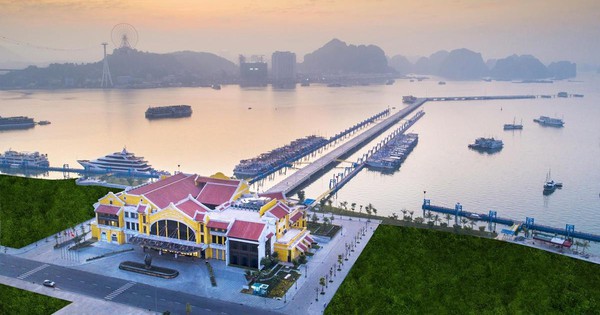 Avatar1763086445145 1763086445506758190657