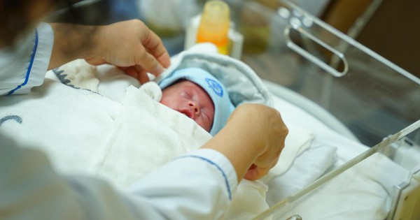 Avatar1763108489862 1763108490727995440712 130 0 654 1000 Crop 17631085640722135475678