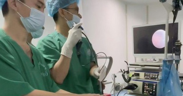 Avatar1763188846660 17631888470952061129055 0 82 274 521 Crop 17631936822281318119221