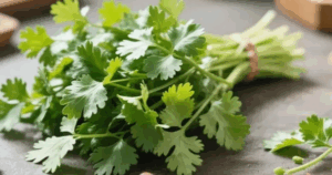 Avatar1763296479813 17632964809881420430512