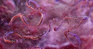 Avatar1763434551832 17634345522951905305576