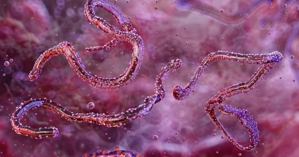 Avatar1763434551832 17634345522951905305576