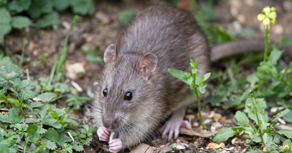 Avatar1763435466540 17634354672541135620025