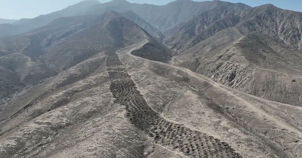 Avatar1763449399021 17634494011981049802633