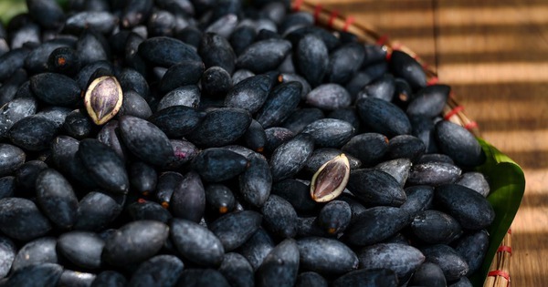 Avatar1763449455436 1763449455787550802464