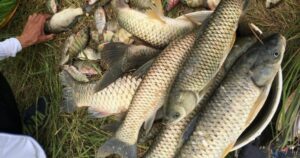 Avatar1763452580472 17634525810671942349140