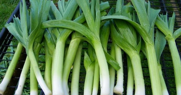 Avatar1763453885002 17634538855891481894390