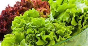 Avatar1763510448296 1763510448690940536559