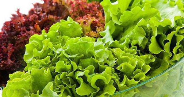 Avatar1763510448296 1763510448690940536559