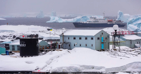 Avatar1763518402775 17635184031361052812497