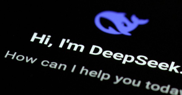 Avatar1763539420053 17635394207192025694051 0 0 564 1076 Crop 17635394607591401471404